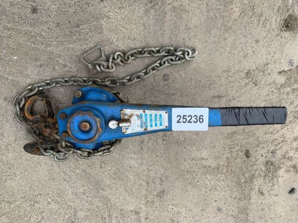 UNRESERVED Blue 1.5T Chain Hoist