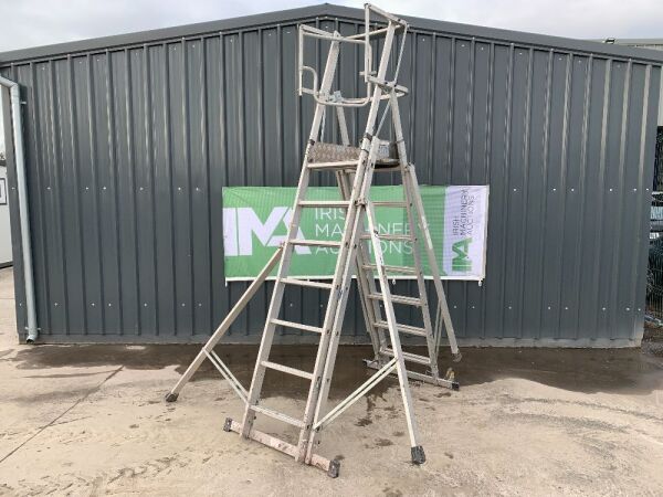 Youngman 7 To 9 Step Extendable Podium Ladder