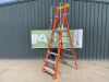 UNRESERVED EN 131 Professional Platform Ladder