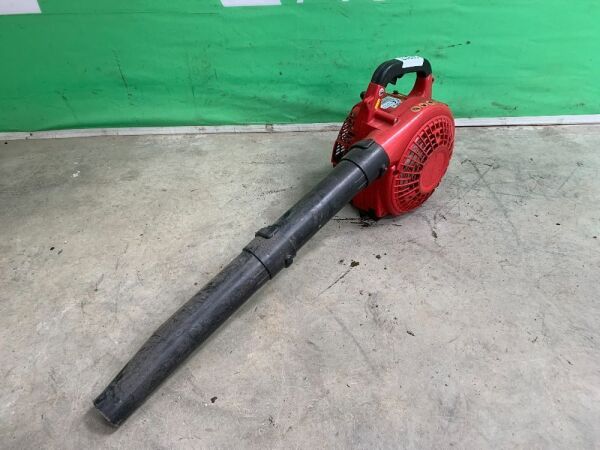 UNRESERVED Warrior Leaf Blower