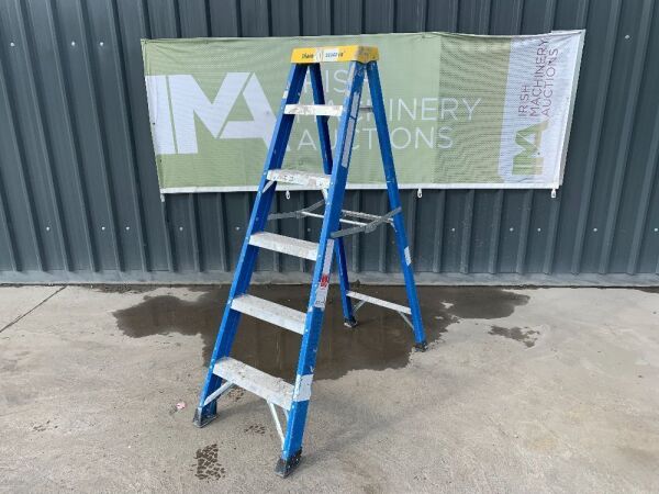 UNRESERVED Clow 1.6M 6 Step Fibreglass Step Ladder