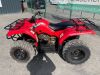 Yamaha Grizzly 350 Quad - 2