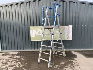 UNRESERVED Clow Extendable Platform Ladder