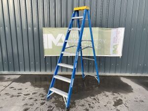 UNRESERVED Clow A Frame Step Ladder