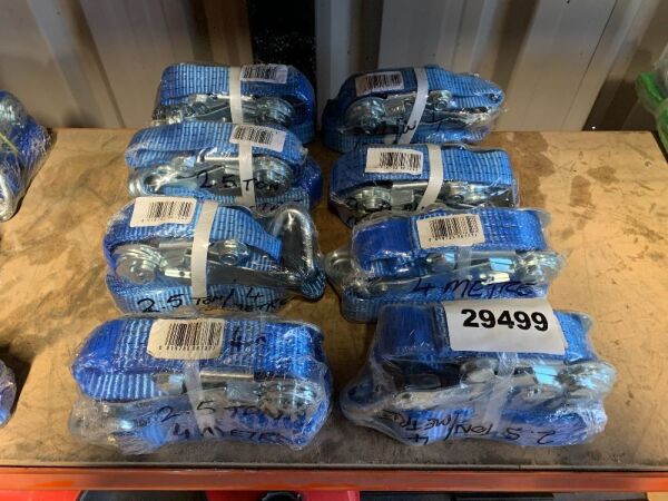 8 x 2.5T/4M Ratchet Straps