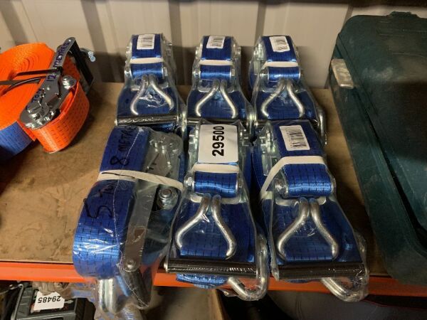 6 x 5T/8M Ratchet Straps
