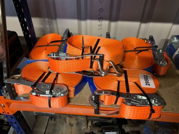 6 x 5T/12M Ratchet Straps