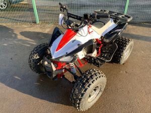 2021 Tao Eagle 125cc Petrol Quad Bike