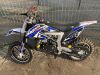 Saker Falcon Pitbike 50cc Dirt Bike - 2