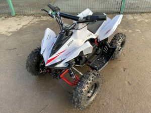 Tao XTR 36V 800W Electric Quad