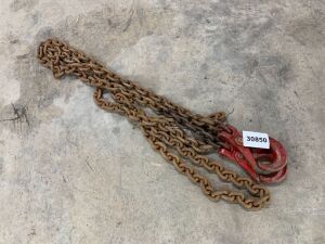 Lifting Chain