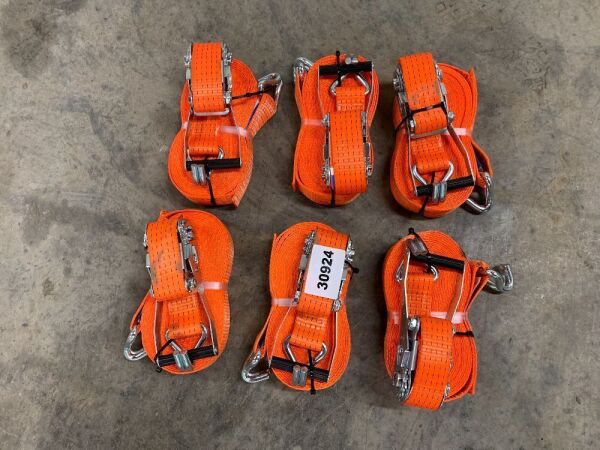 6 x 5T/12M Orange Ratchet Straps