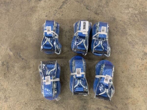 6 x 5T/10M Blue Ratchet Straps