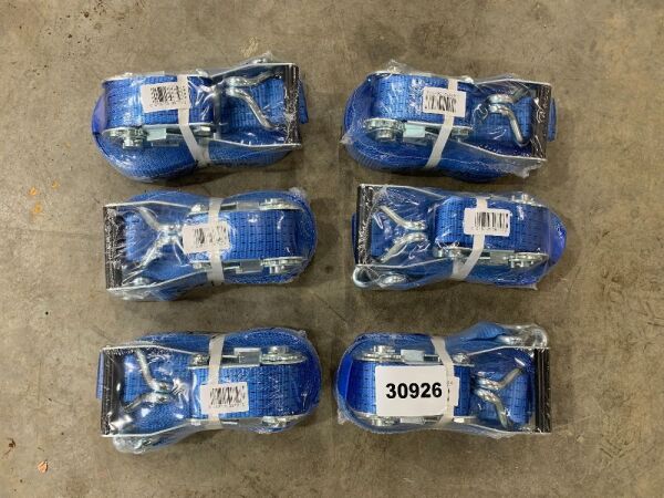 6 x 5T/10M Blue Ratchet Straps