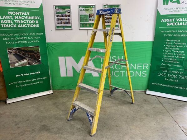 UNRESERVED Werner Fiberglass Stepladder