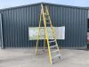 UNRESERVED Werner 10 Step A Frame Ladder - 3