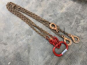 3 Leg Lifting Chain