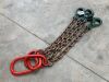 4 Leg Lifting Chain