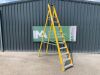 UNRESERVED Lyte 10 Step Fibreglass Ladder - 3