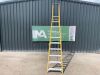 UNRESERVED Lyte 10 Step Fibreglass Ladder - 2