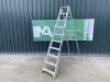 UNRESERVED 10 Step Aluminium Ladder