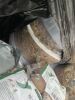 UNRESERVED Large Pallet Of Bird Feed - 4