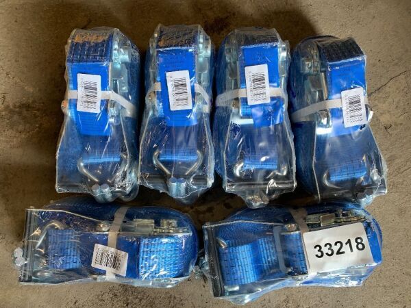6 x 5Ton/10 Metre Ratchet Belts