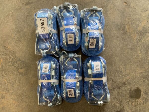 6 x 12M/5T Ratchet Straps (Blue)