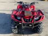 UNRESERVED Yamaha Brute 350 4WD Quad - 8