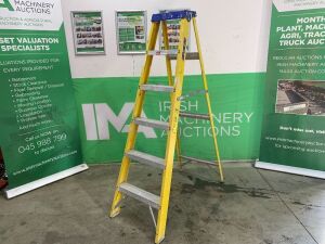 UNRESERVED Clow Fiberglass Step Ladder