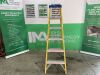 UNRESERVED Clow Fiberglass Step Ladder - 2