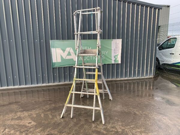 UNRESERVED Stradbally Ladder