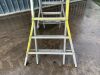 UNRESERVED Stradbally Ladder - 2