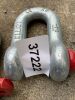 UNUSED 2 x 12T D Shackles - 2