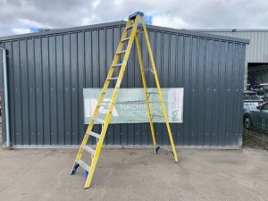 UNRESERVED 12FT Fibreglass Stepladder