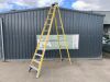 UNRESERVED 12FT Fibreglass Stepladder