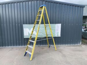 UNRESERVED 10FT Fibreglass Stepladder