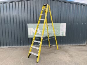 UNRESERVED 10FT Fibreglass Stepladder