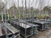 10 x Portable Trolleys c/w Shelving - 3