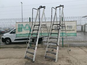 UNRESERVED 2 x 7 Step Platform Ladders