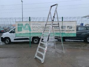 UNRESERVED 7 Step Platform Ladder