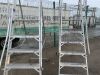 UNRESERVED 2 x 6 Step Platform Ladders - 3