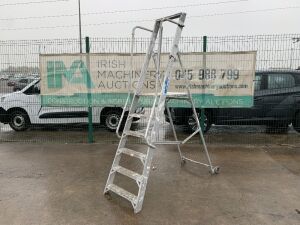 UNRESERVED 5 Step Platform Ladder