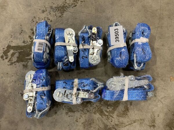 8 x 4M/2.5T Ratchet Belts
