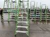UNRESERVED Little Giant 6 Rung Green 3.2m Ladder c/w Safety Cage - 3