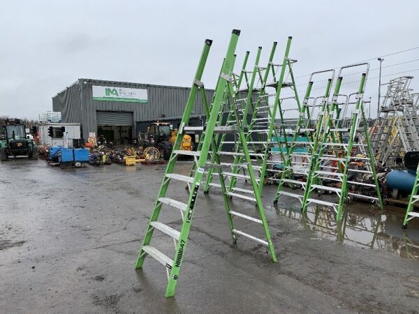 UNRESERVED Little Giant 4 Rung Green 3.2m Ladder