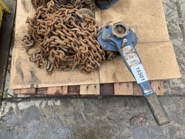 UNRESERVED Blue 6T Lever Hoist