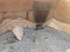 UNRESERVED 2006 Seddon Atkinson Pacer 2DR Auto Tar Patching Unit - 28