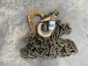 UNRESERVED Lifting Chains - 3