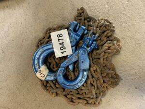 UNRESERVED Lifting Chains (C10)